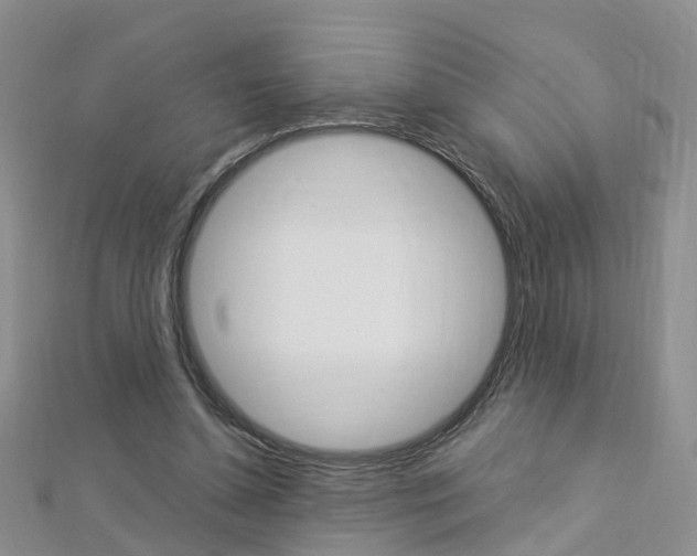 X0000112880348200908211056