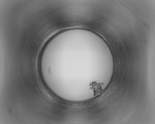 X0000112880350200908211056