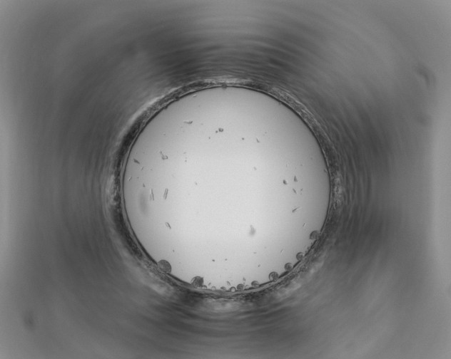 X0000112880351200908211056