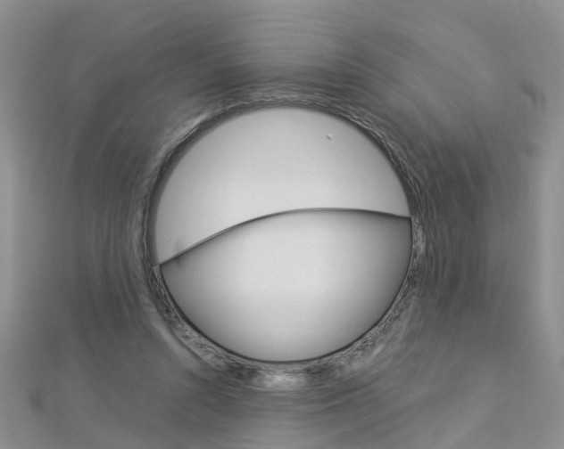 X0000112880352200908211056