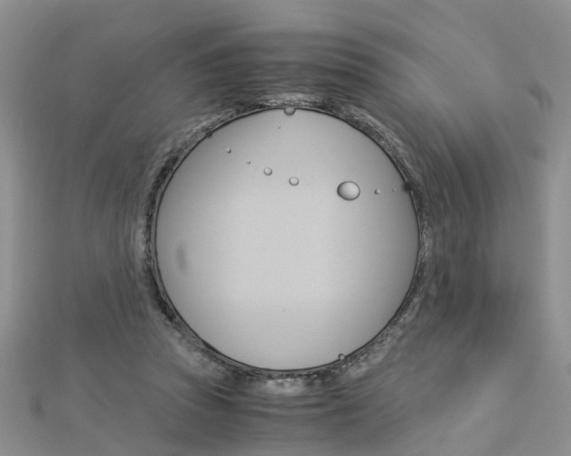 X0000112880353200908211056