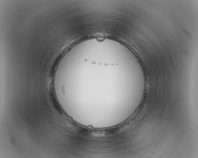 X0000112880355200908211056