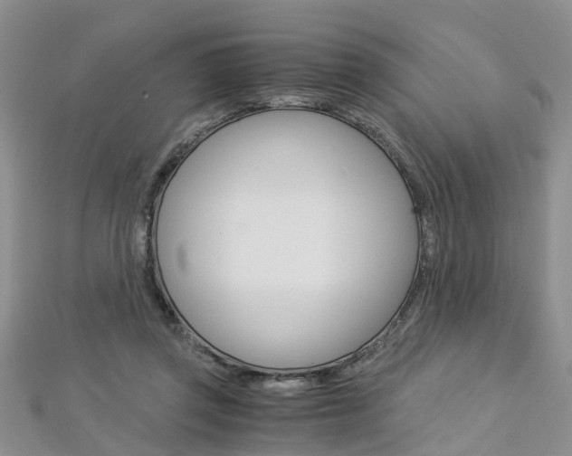 X0000112880357200908211056