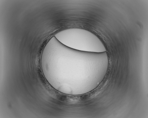 X0000112880359200908211056