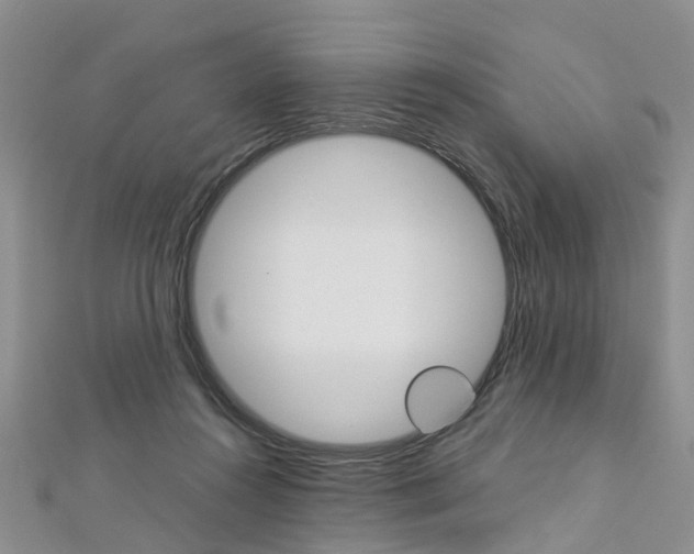 X0000112880360200908211056