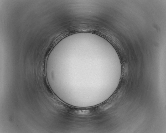 X0000112880361200908211056