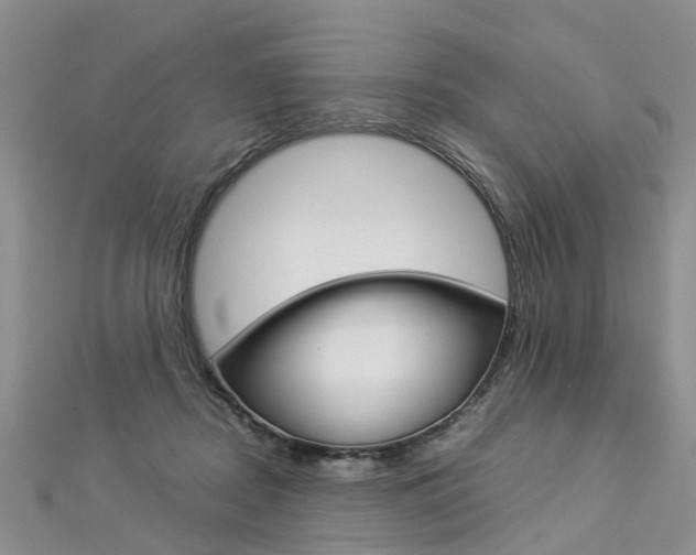 X0000112880362200908211056