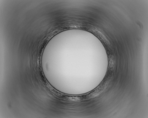 X0000112880363200908211056