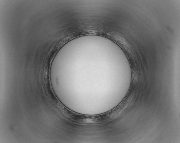 X0000112880365200908211056