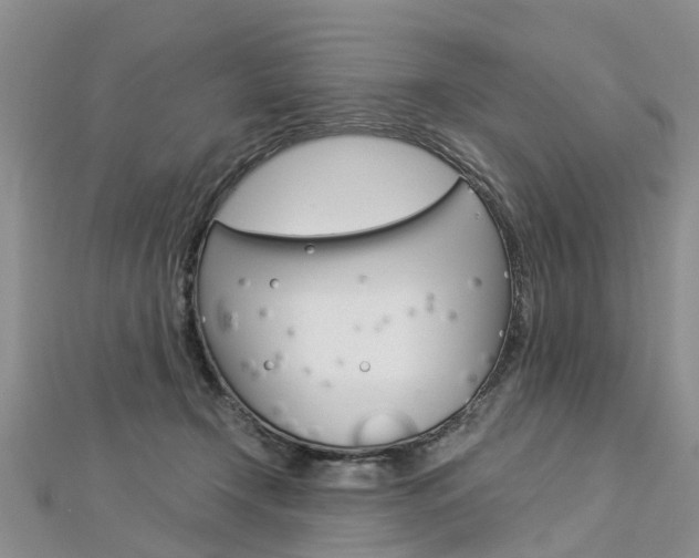 X0000112880366200908211056