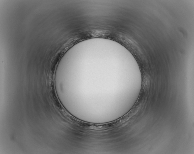 X0000112880367200908211056