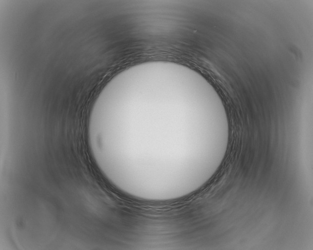 X0000112880368200908211056