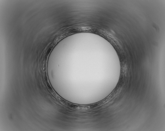 X0000112880373200908211056