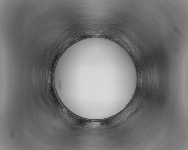 X0000112880374200908211056