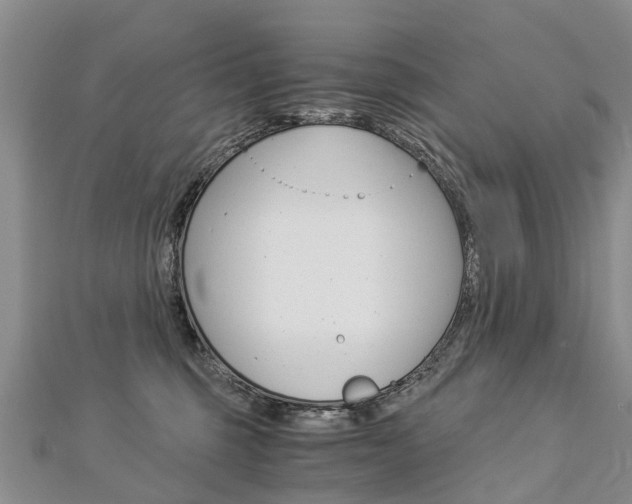 X0000112880375200908211057