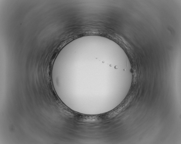 X0000112880377200908211057