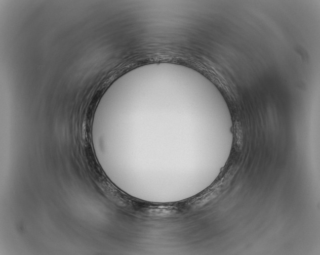 X0000112880378200908211057