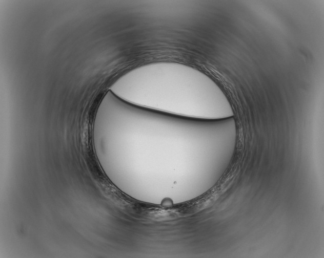 X0000112880379200908211057