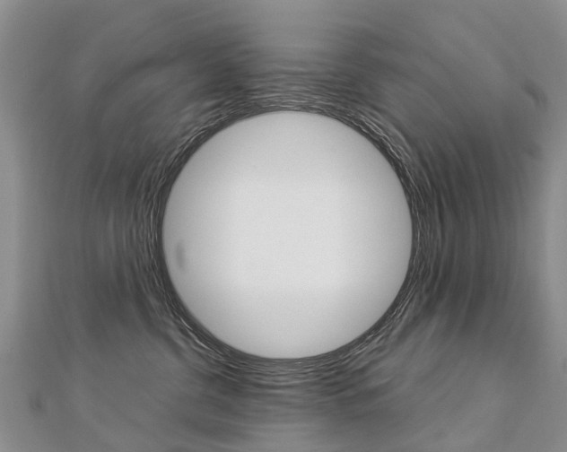 X0000112880380200908211057