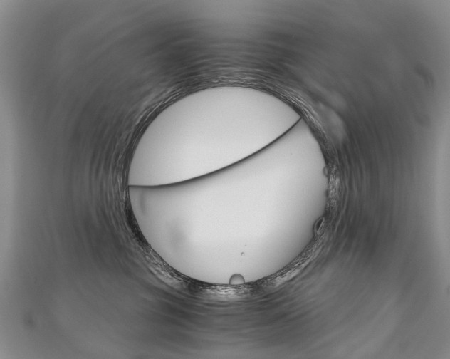 X0000112880381200908211057