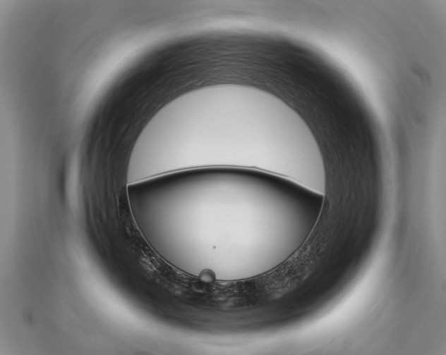 X0000112880382200908211057