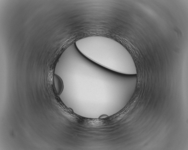 X0000112880383200908211057