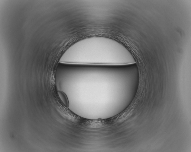 X0000112880384200908211057