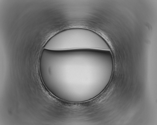 X0000112880385200908211056