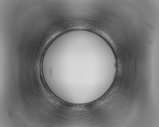 X0000112880386200908211056