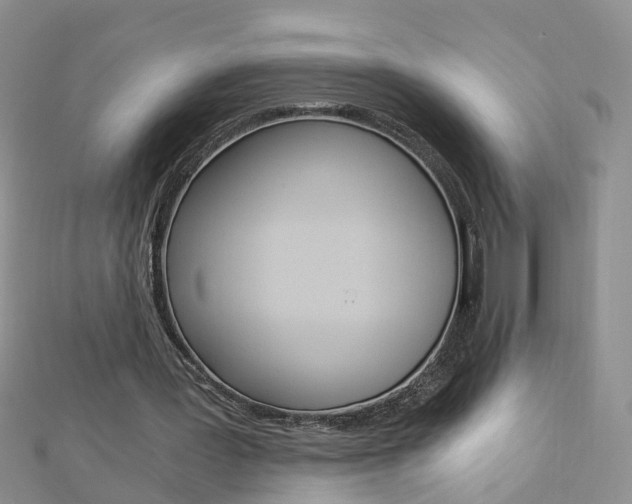 X0000112880387200908211056