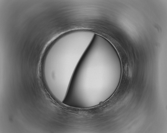 X0000112880388200908211056