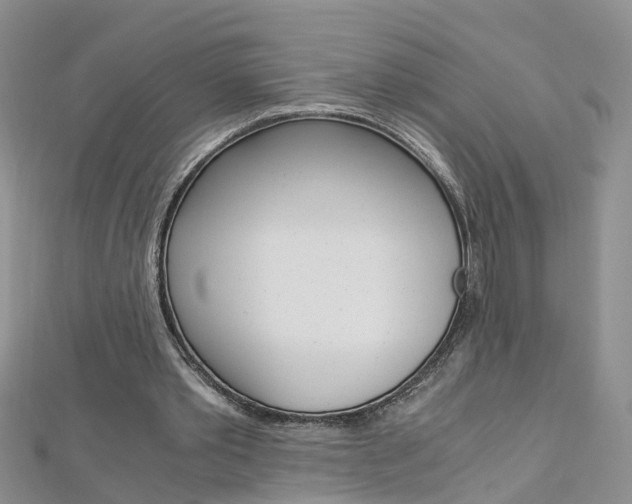 X0000112880389200908211056