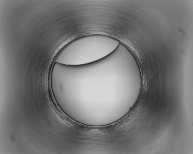 X0000112880390200908211056