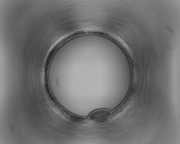 X0000112880391200908211056