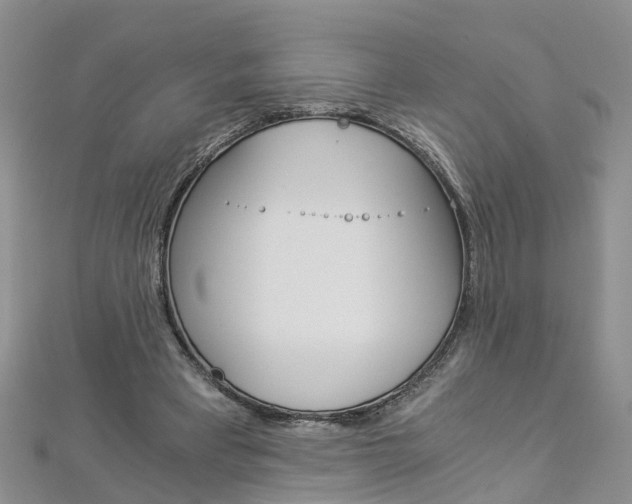 X0000112880393200908211056