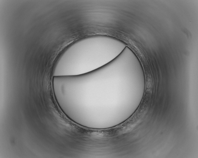 X0000112880394200908211056