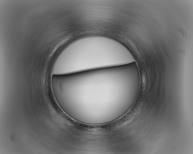 X0000112880396200908211056