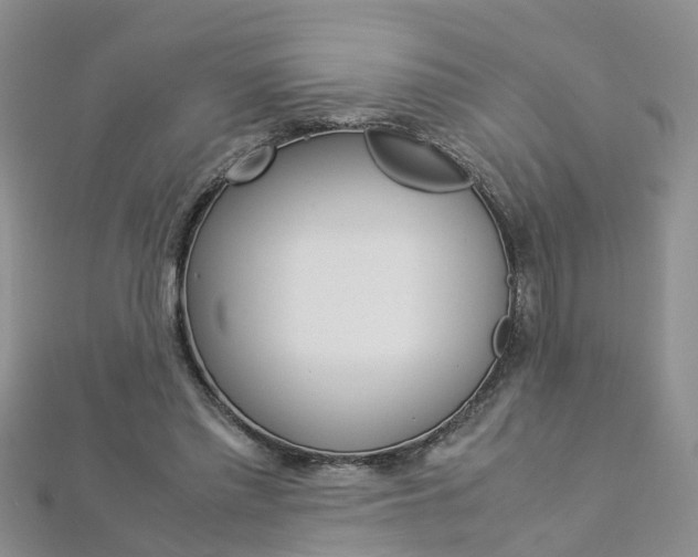 X0000112880397200908211056