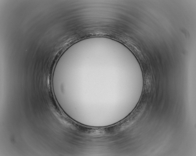 X0000112880398200908211056