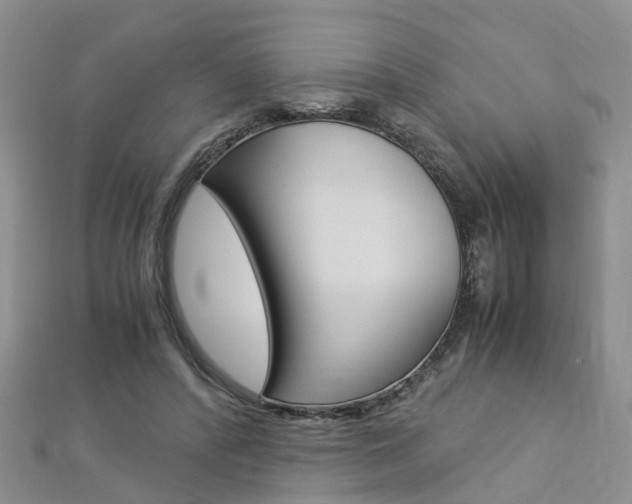 X0000112880400200908211056