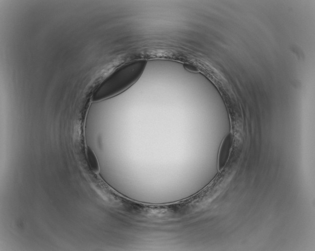 X0000112880401200908211056