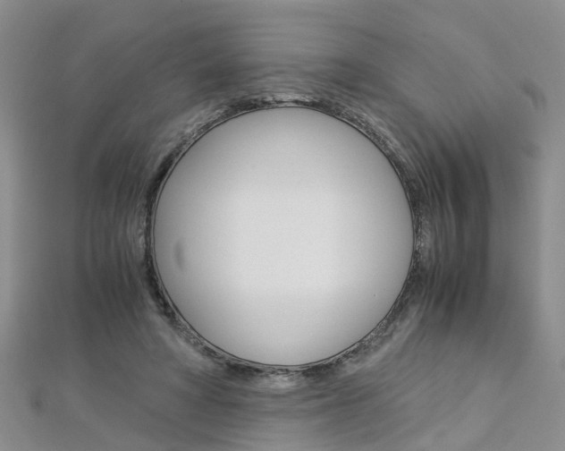 X0000112880402200908211056