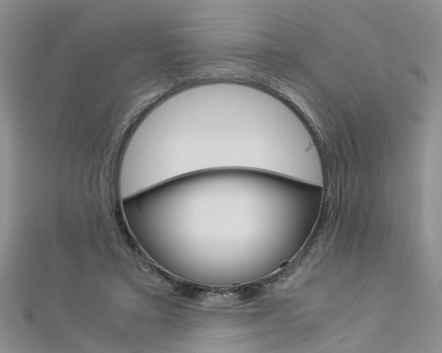 X0000112880403200908211056