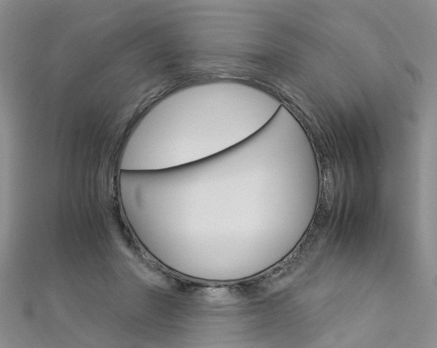 X0000112880406200908211056