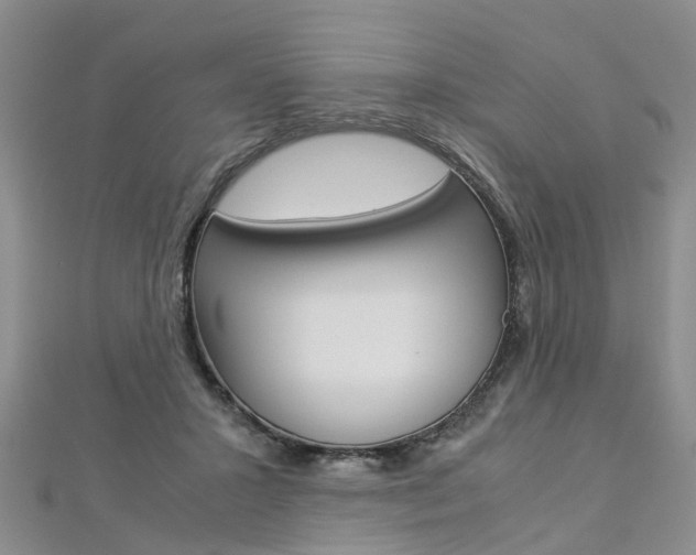 X0000112880407200908211056