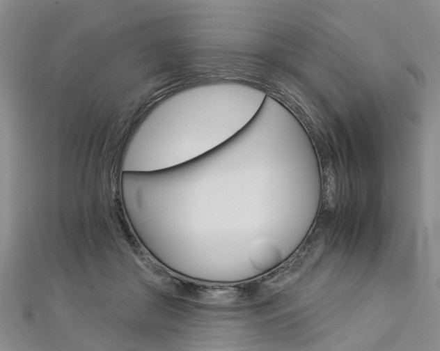 X0000112880410200908211056