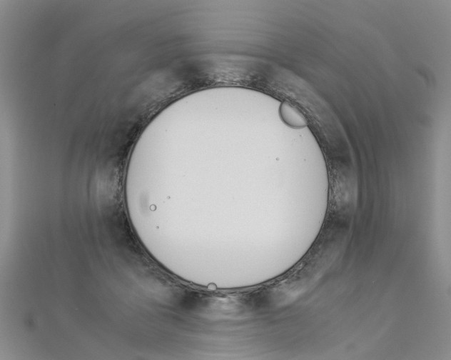 X0000112880411200908211056