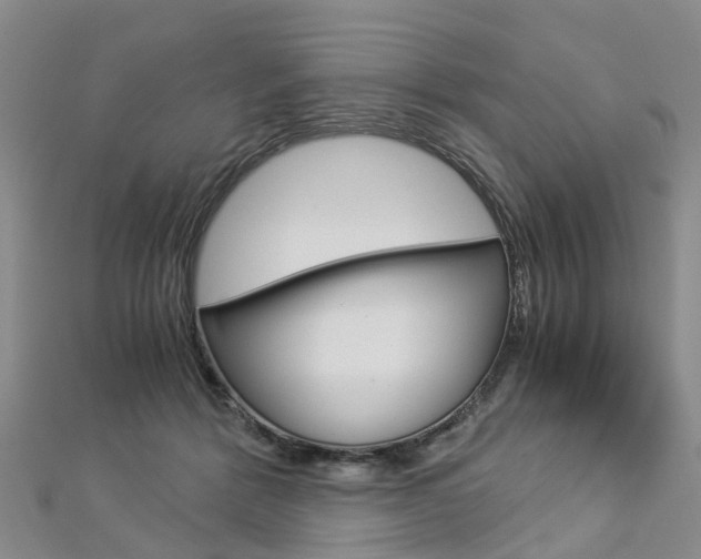 X0000112880412200908211056