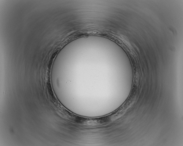 X0000112880413200908211056