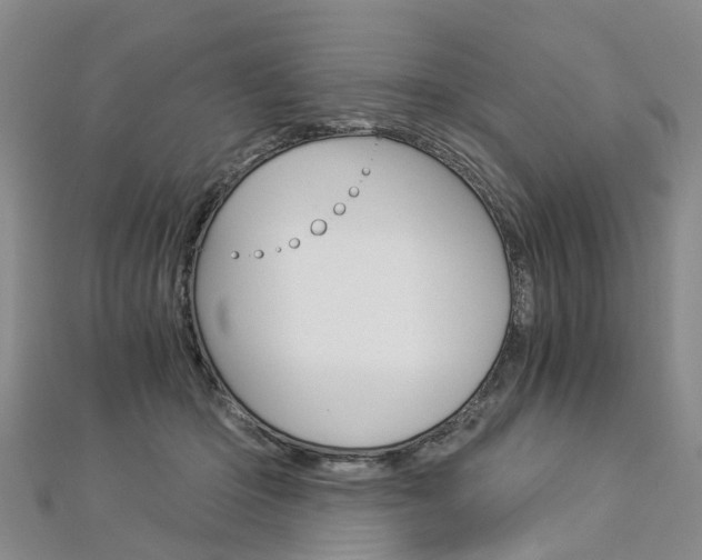 X0000112880414200908211056